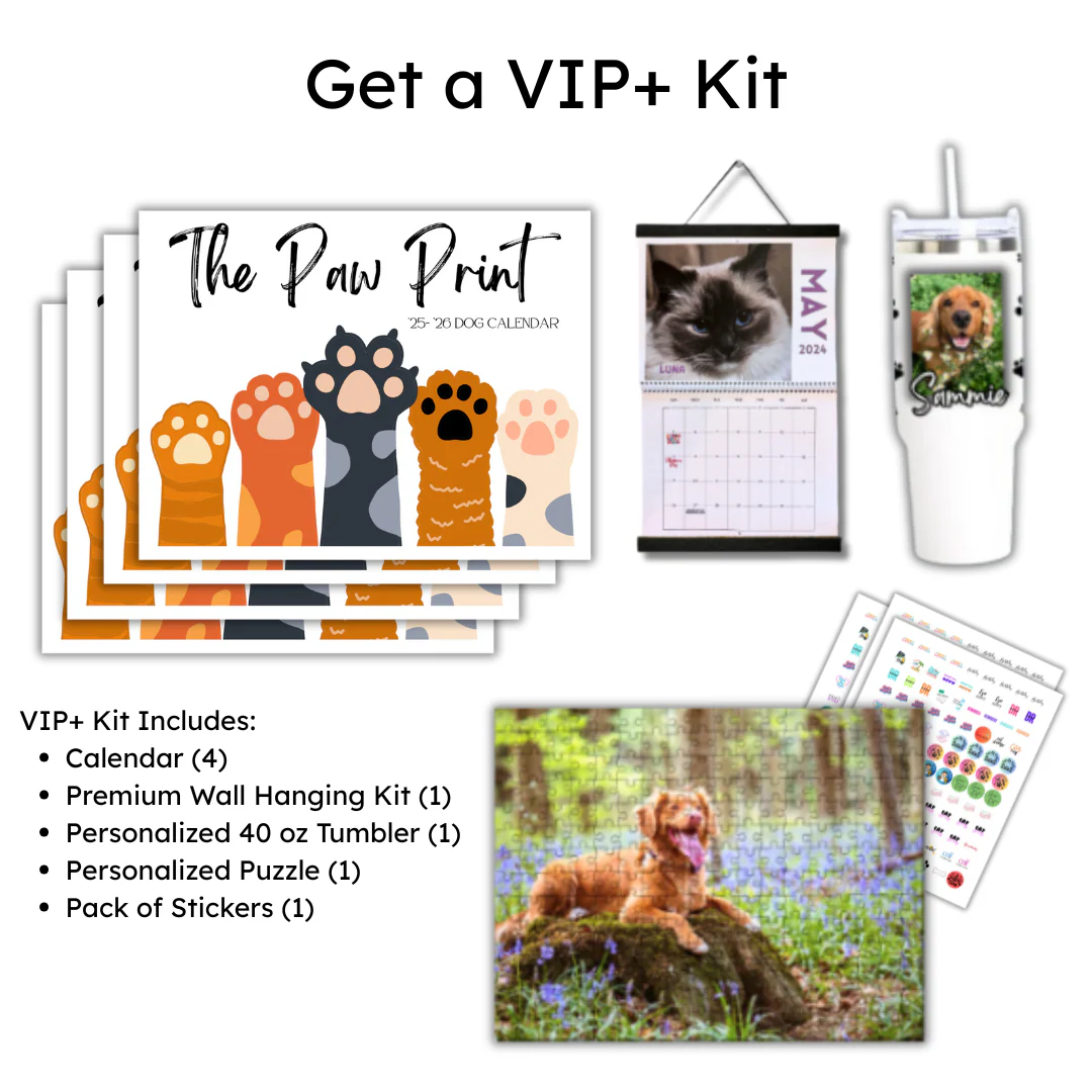 🐾 September 2025 - August 2026 Paw Print Dog Calendar 🗓️ - Image 4