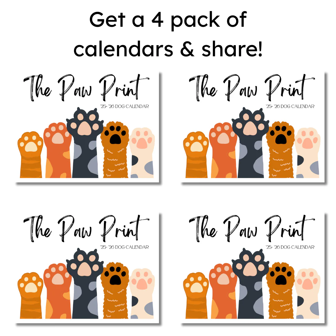 🐾 September 2025 - August 2026 Paw Print Dog Calendar 🗓️ - Image 5