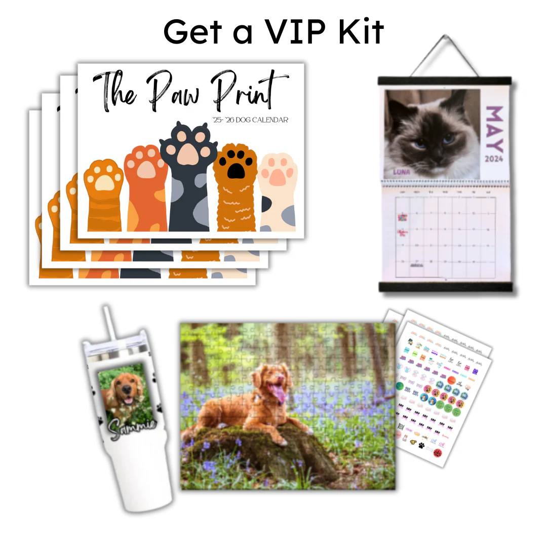 🐾 September 2025 - August 2026 Paw Print Dog Calendar 🗓️ - Image 6