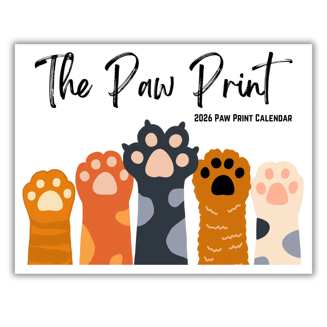 ๐พ 2026 Paw Print Cartoon Calendar ๐๏ธ