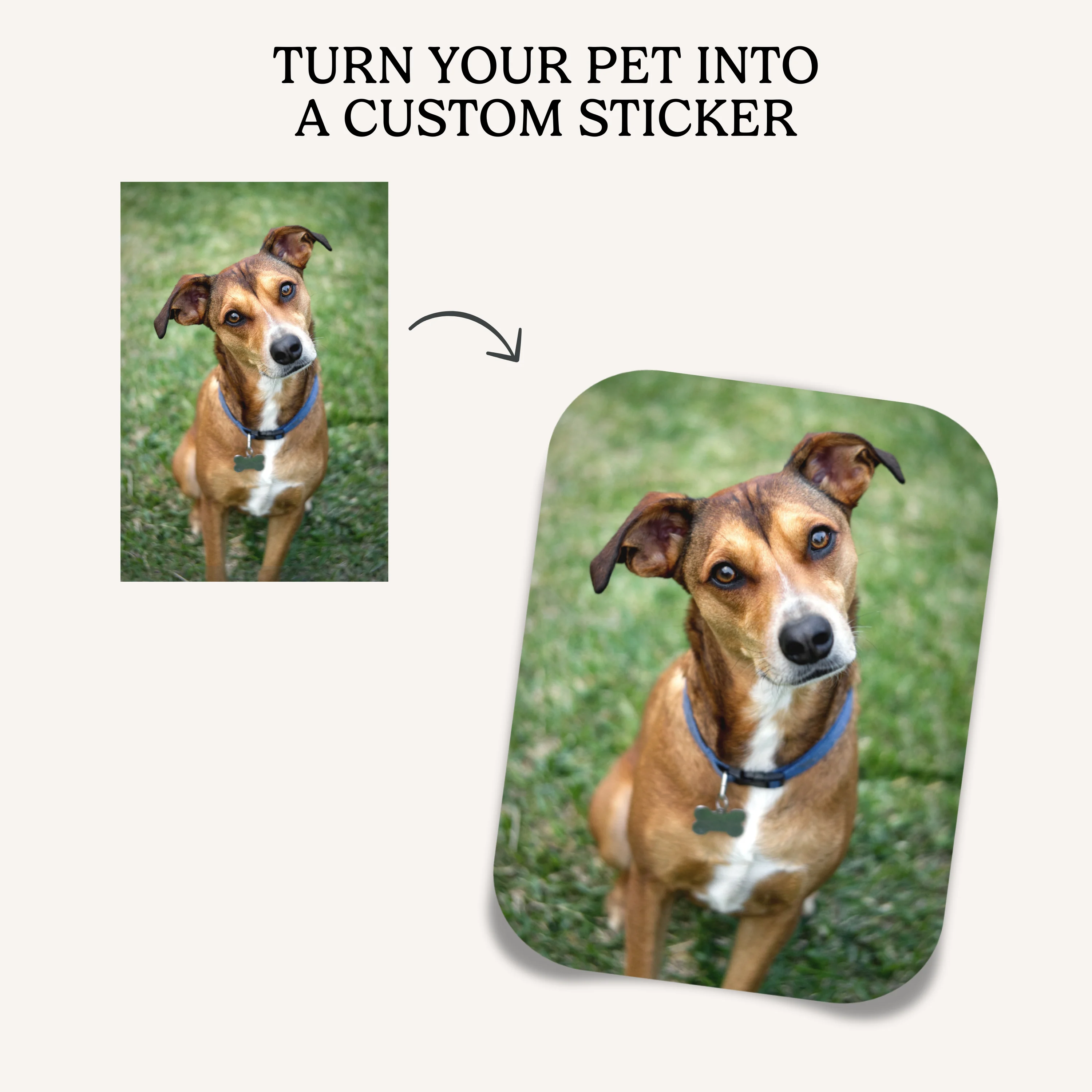 Premium Vinyl 3"x4" Photo Sticker - Image 5