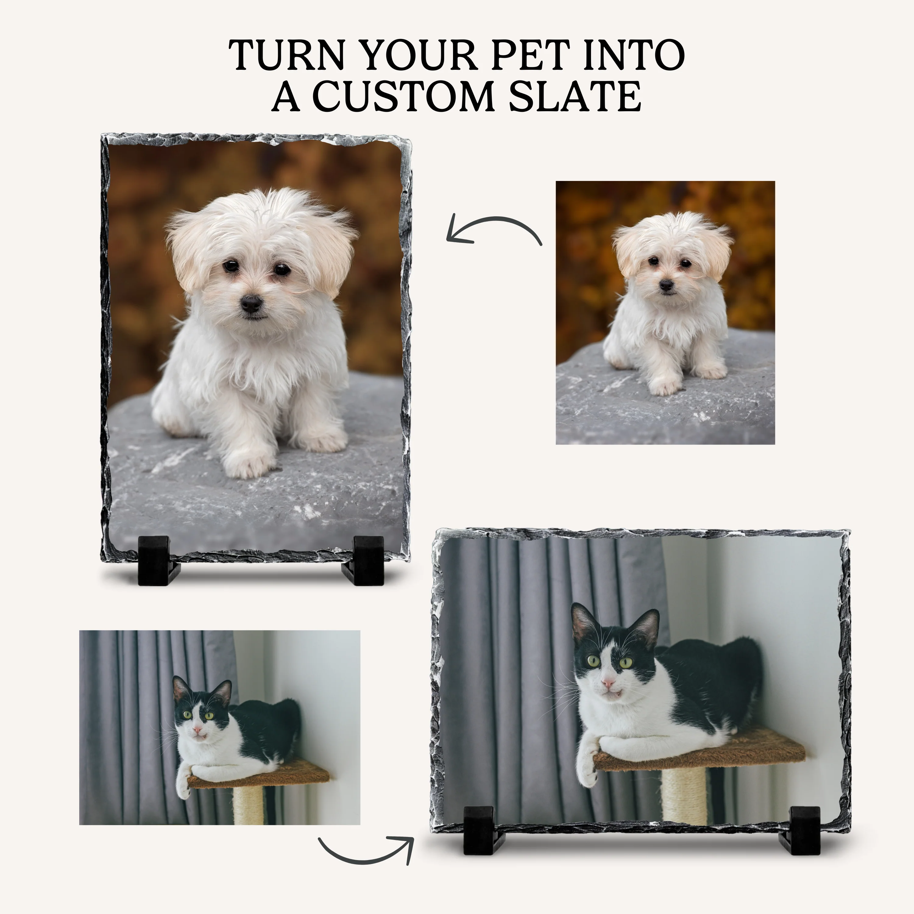 Decorative Photo Slate - Image 5