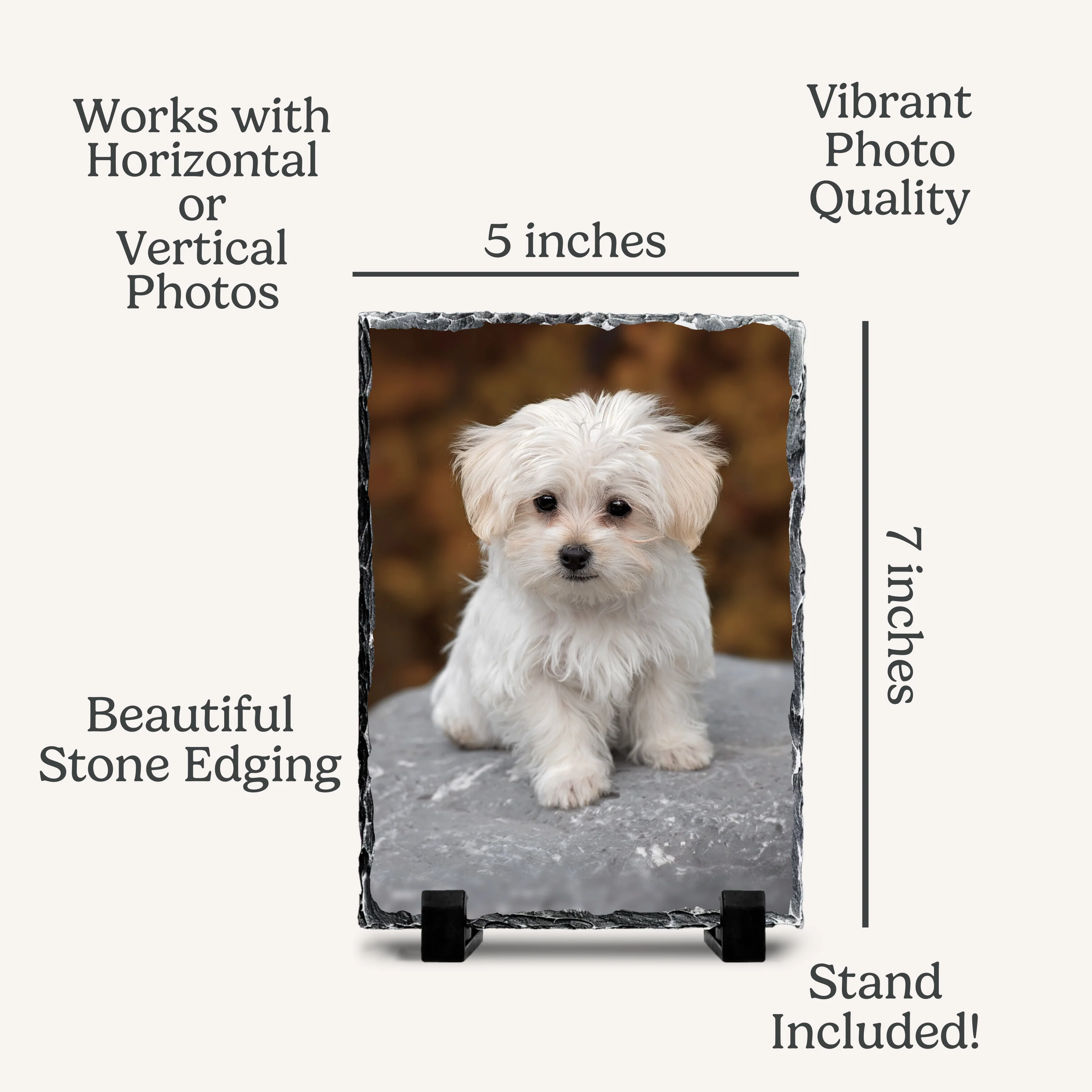 Decorative Photo Slate - Image 6