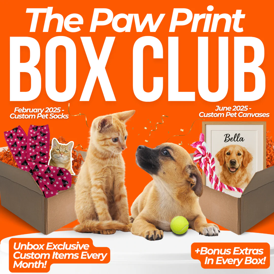 The Paw Print Box Club (Copy)
